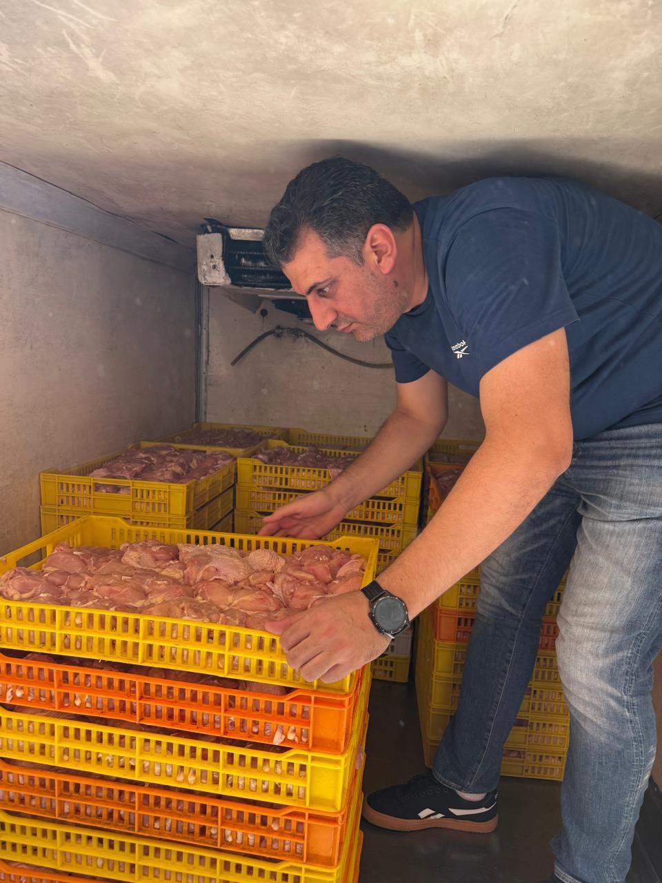 ضبط طن لحوم ودواجن فاسدة في طنطا 