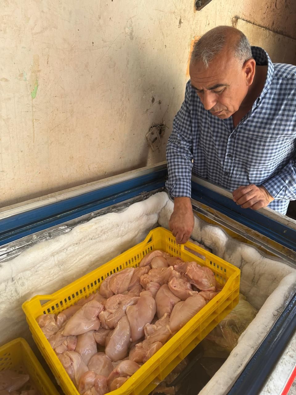 ضبط طن لحوم ودواجن فاسدة في طنطا 