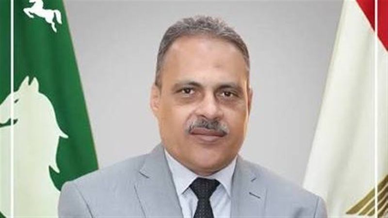 محافظ الشرقية