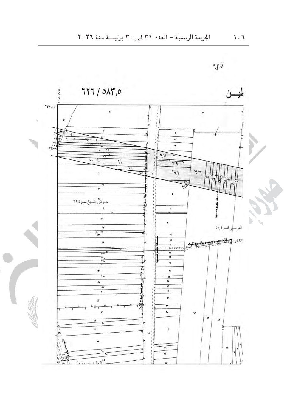 2405b11e3c.jpg