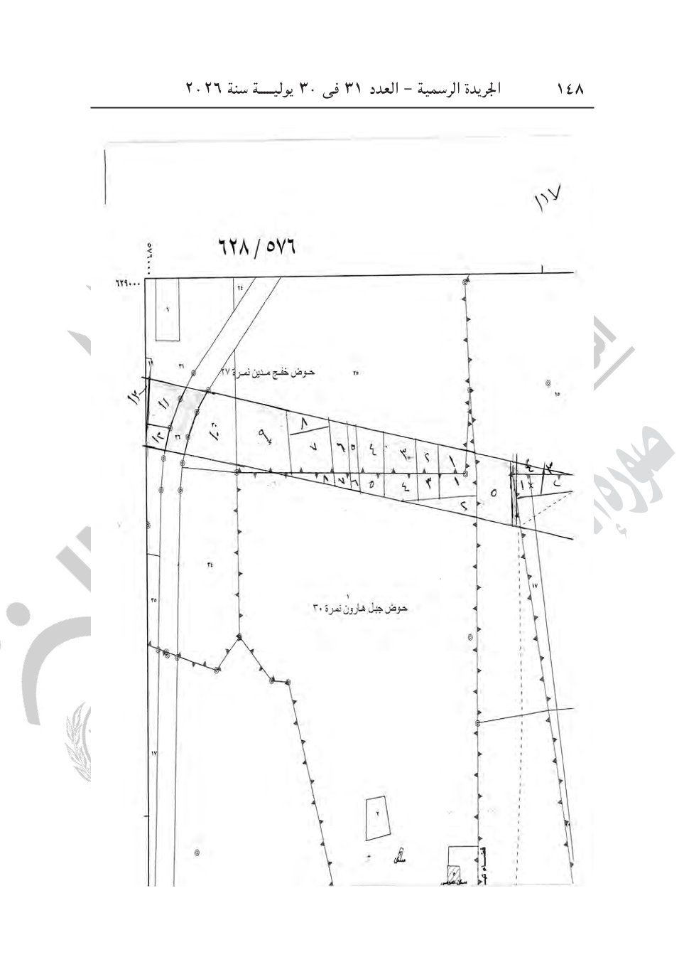 6f6f65d667.jpg