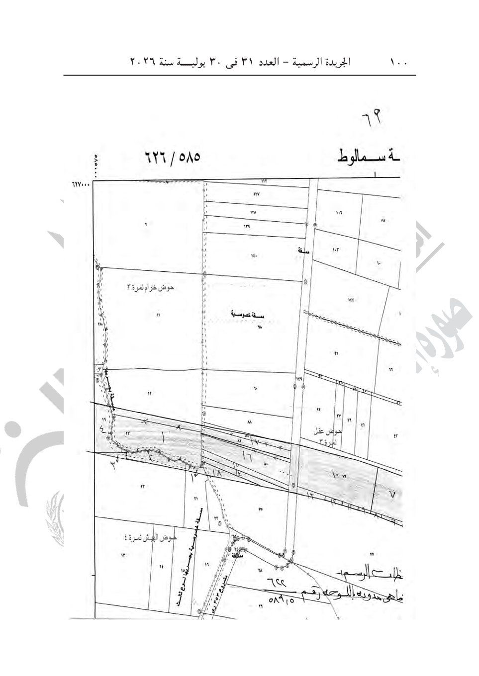 7839f93c31.jpg