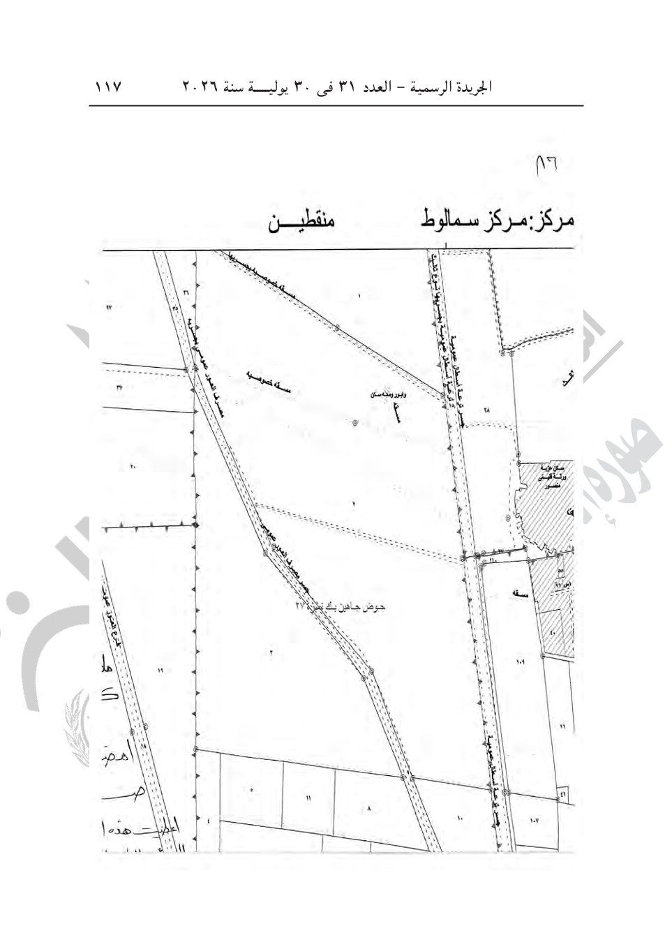 7d036327af.jpg