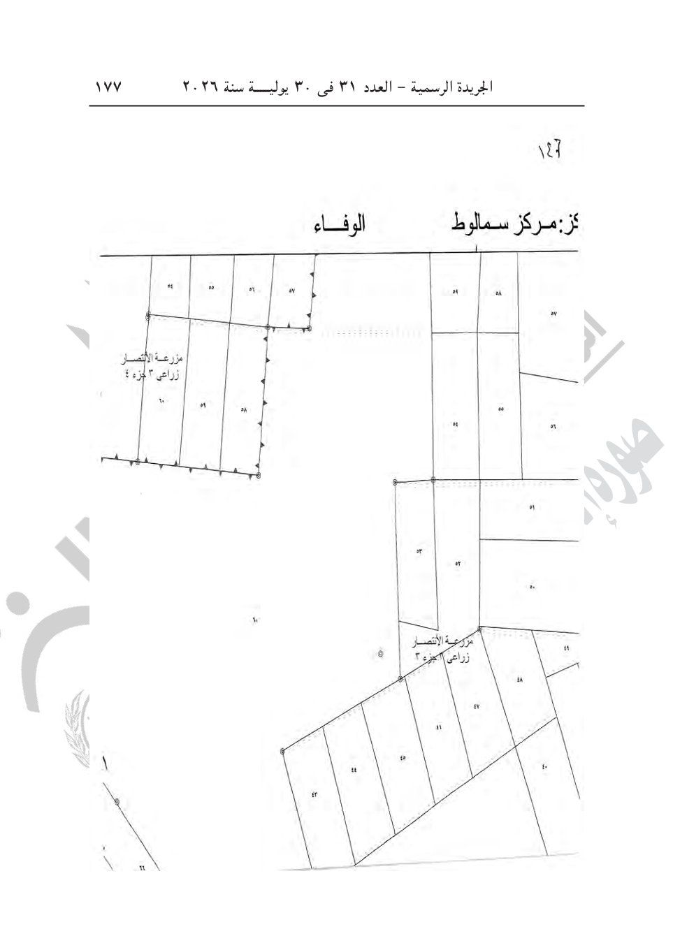 b92feebeda.jpg