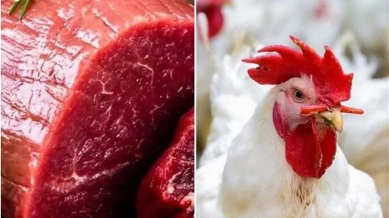 الدواجن واللحوم، فيتو 