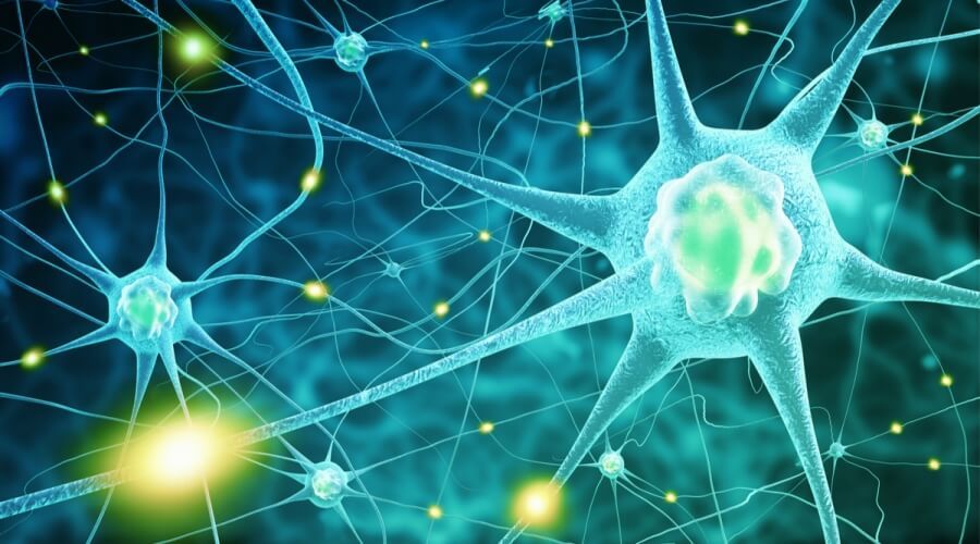 أكلات مهمة للحفاظ على صحة الجهاز العصبى 
