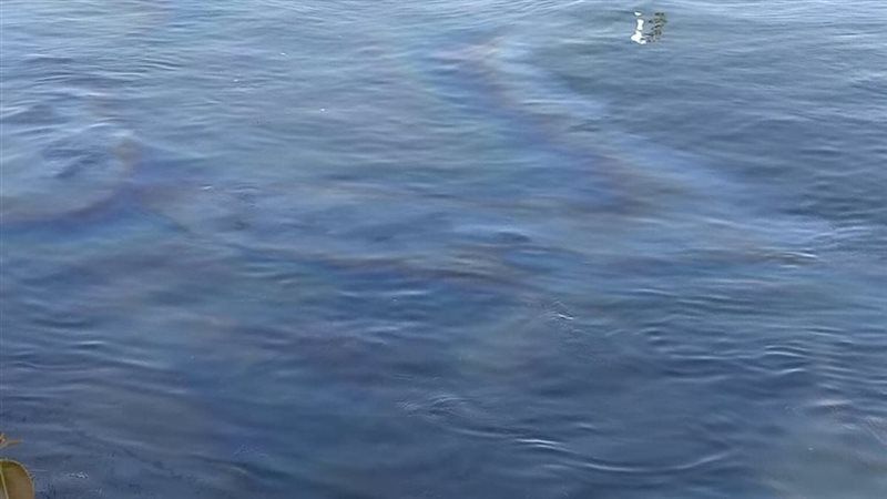 ظهور بقعة زيت بنهر