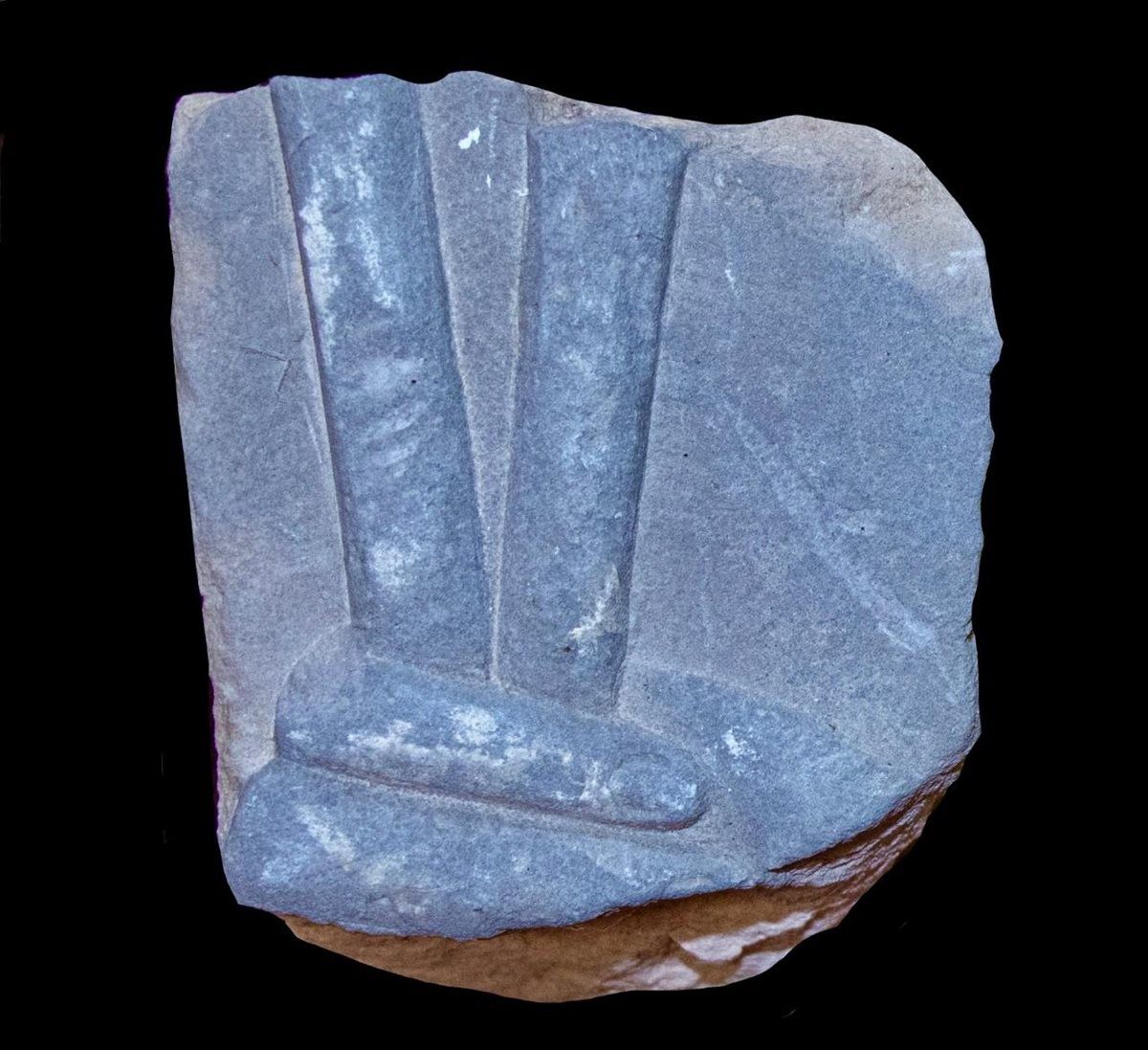 1ceae46e61.jpg