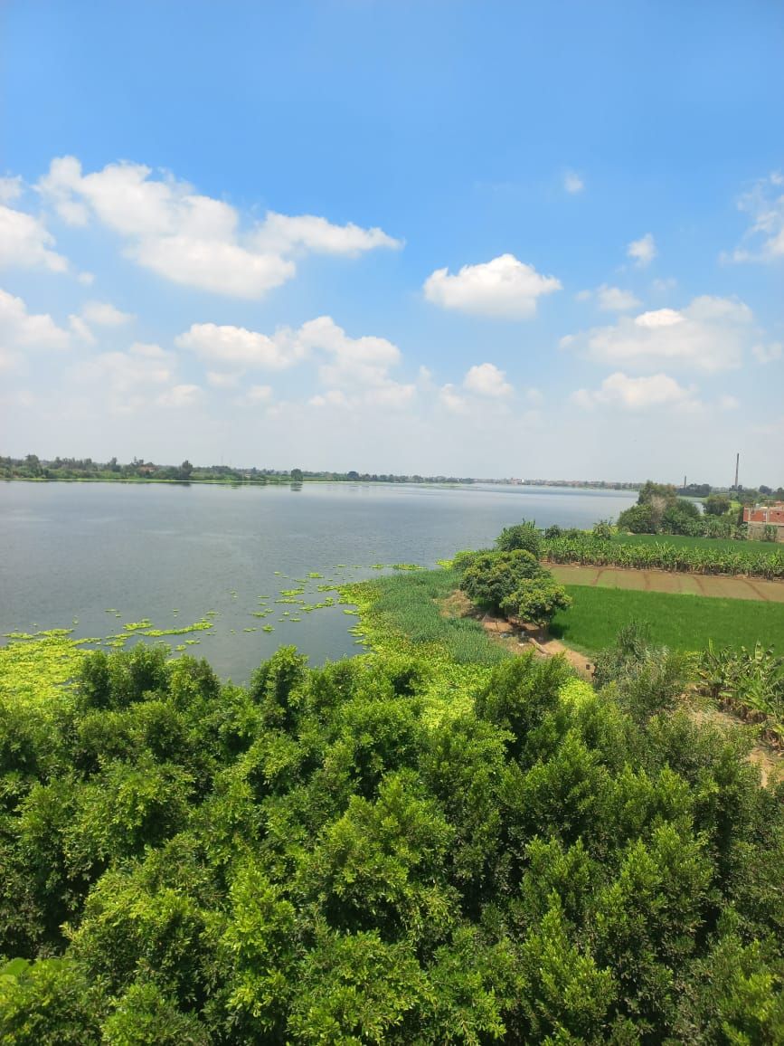 7d7a8b2860.jpg