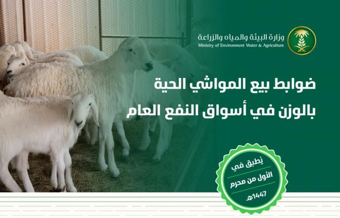 «البيئة» تعلن ضوابط بيع المواشي الحية بالوزن