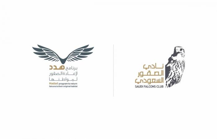 نادي الصقور السعودي يرفع أعداد "الوكري" المهدد بالانقراض إلى 14 صقرًا عبر برنامج "هدد"