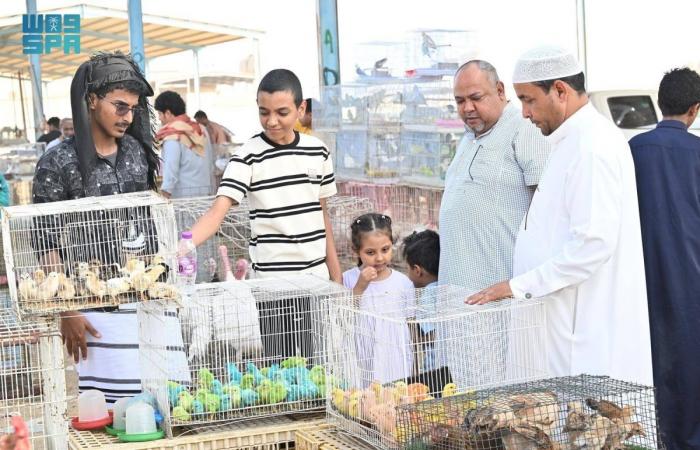 أسواق الطيور في جازان.. تجربة سياحية غنية لعشاق الحيوانات الأليفة