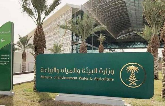"بيئة
      تبوك"
      تعلن
      عن
      فرصة
      استثمارية
      لإنشاء
      وتشغيل
      بيوت
      محمية
      وزراعة
      مائية