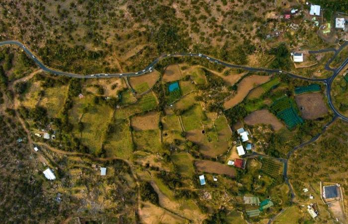 صيف الطائف.. خيارات وتجارب متنوعة بين الطبيعة والمغامرة والترفيه