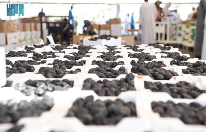 سوق التمور بالمدينة فرصة واعدة لرواد الأعمال من الشباب السعودي
