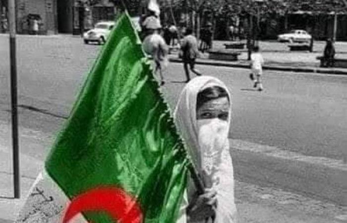 تصريحات "تضحية شهيدات الجزائر بعرضهن" تثير ضجة واسعة