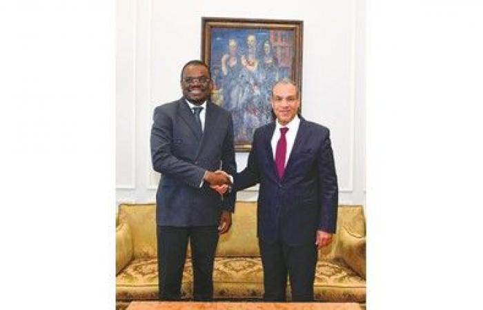 وزير الخارجية: مصر مستعدة لنقل خبراتها وتجاربها الصحية والدوائية إلى الدول الأفريقية