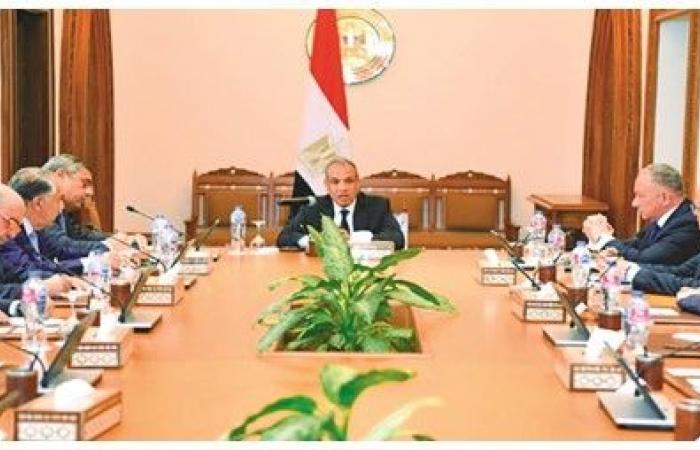 وزير الخارجية: القطاع الخاص محور الشراكات الاقتصادية مع الدول الأفريقية