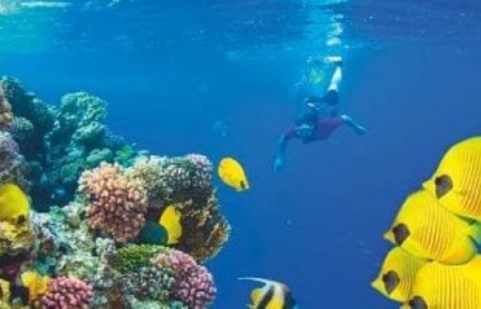 تضاهى المالديف وسيشل.. «ديلى ميل» تتغنى بمناخ مصر فى فبراير ومارس