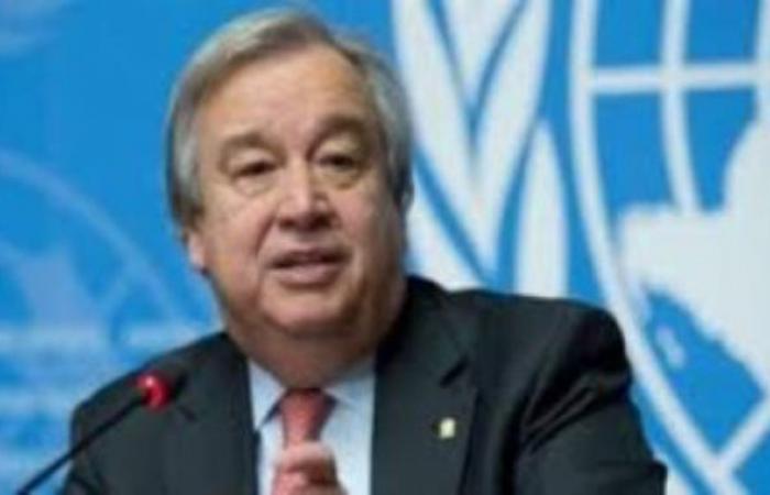 الأمم المتحدة: لا بديل عن حل الدولتين وغزة جزء لا يتجزأ من الدولة الفلسطينية