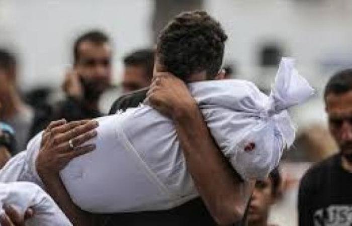 شهيد برصاص الاحتلال في خانيونس وغارات إسرائيلية