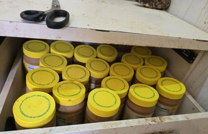 أمانة جدة تغلق مواقع عشوائية وتتلف 5 أطنان من اللحوم والمواد الغذائية الفاسدة