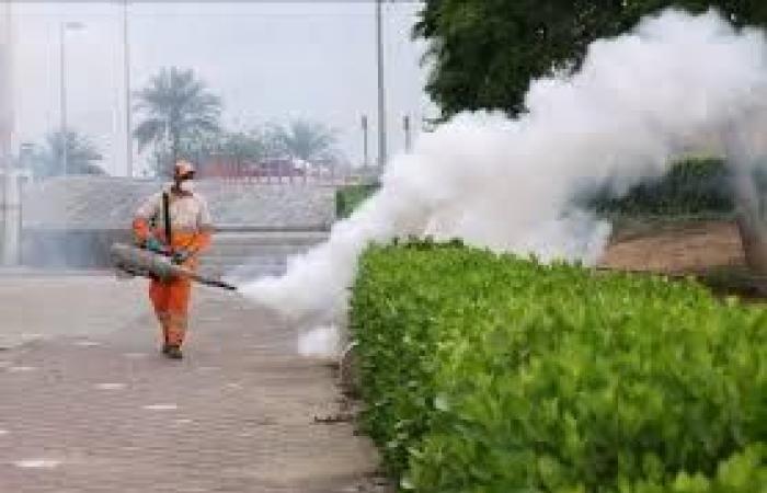 الشارقة.. إرشادات لمكافحة البعوض خلال موسم الأمطار