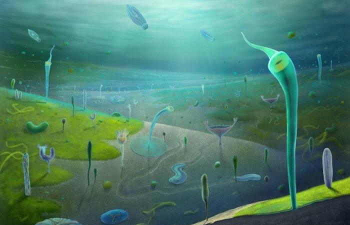 حفريات صينية تكشف عن كائنات بحرية عاشت قبل 546 مليون سنة