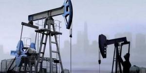 ارتفاع
      أسعار
      النفط
      في
      إغلاق
      تعاملات
      الثلاثاء