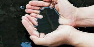 أسعار
      النفط
      العالمية
      تسجل
      مكاسب
      أسبوعية
      5%
      بنهاية
      تعاملات
      الجمعة