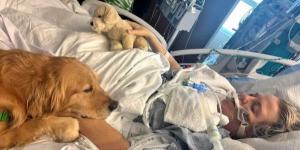 كلب يعيد الحياة لامرأة أميركية بعد غيبوبة طويلة في واقعة وُصفت بـ"المعجزة"
