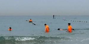 إسرائيل تبحث عن هاتف المدعية العامة العسكرية السابقة في البحر