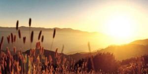 الطقس: أجواء شديدة الحرارة