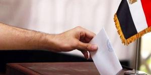 مصر: إلغاء نتائج انتخابات مجلس النواب في عدة دوائر