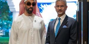 طحنون بن زايد يبحث الشراكة الاستراتيجية مع وزير الشؤون الخارجية في الهند