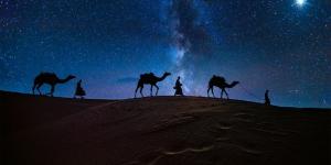 الكشف عن "بروتين فريد في الإبل" قد يحمي الدماغ من "ألزهايمر والفصام"