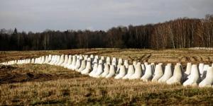 للمرة الأولى منذ الحرب الباردة.. بولندا تبدأ إنتاج ألغام مضادة للأفراد