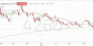 الضغوط البيعية تسيطر على سهم "بدجت السعودية"