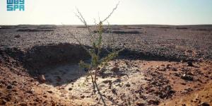 وزير الداخلية يدشن المشتل المركزي ومحطة أبحاث وإنتاج البذور البرية