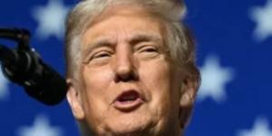 ترامب: لا بديل عن سيطرتنا على جرينلاند.. والناتو مطالب بمساعدتنا