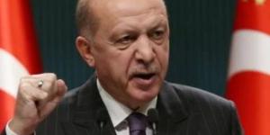 الرئاسة التركية: الرئيس أردوغان يزور مصر الأربعاء المقبل