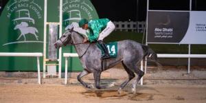 150 خيلاً تتنافس في ختام موسم مضمار العين للفروسية