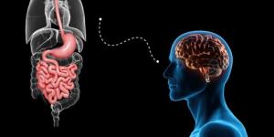 مفاجأة.. دراسة تكشف دور الأمعاء في صحة الدماغ: "النظام الغذائي يُحَسِّن الذاكرة"