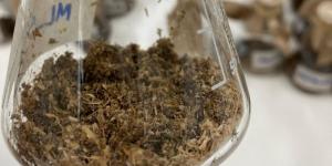 علماء «كاوست» يدرسون تطوير إنزيمات قادرة على تحليل البلاستيك