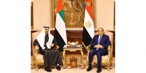 الرئيسان المصري والإماراتي يشددان على العمل من أجل تعزيز أسباب السلام والاستقرار