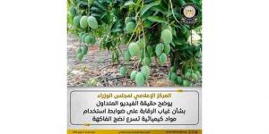 الحكومة توضح حقيقة فيديو يزعم غياب الرقابة على استخدام مواد كيميائية بالفاكهة