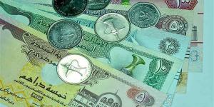سعر الدرهم الإماراتي مقابل الجنيه في البنك المركزي اليوم السبت