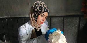 التحفظ على 17.3 طن دواجن ولحم مفروم وكبدة غير صالحة للاستخدام بالشرقية