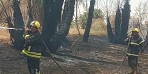 السيطرة على حريق بنخيل وزيتون بواحة الفرافرة في الوادي الجديد
