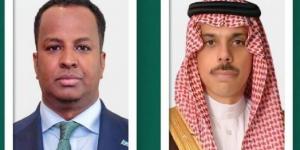 وزير الخارجية ونظيره الصومالي يؤكدان سيادة الصومال على كامل أراضيها